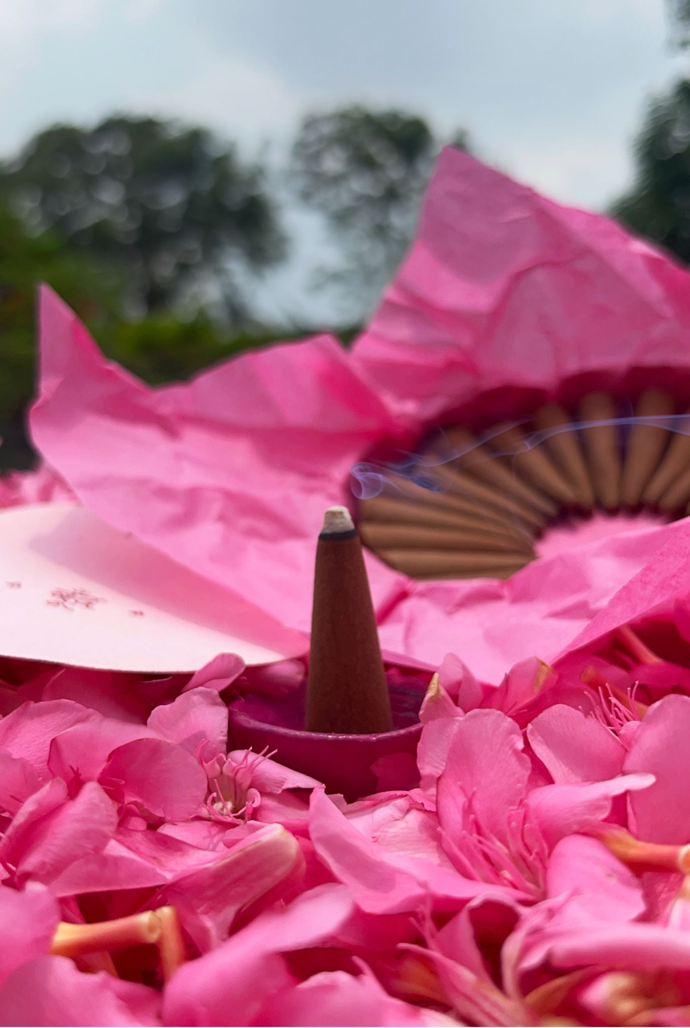 Gulabi Dhoop - Indian Rose Incense Cones