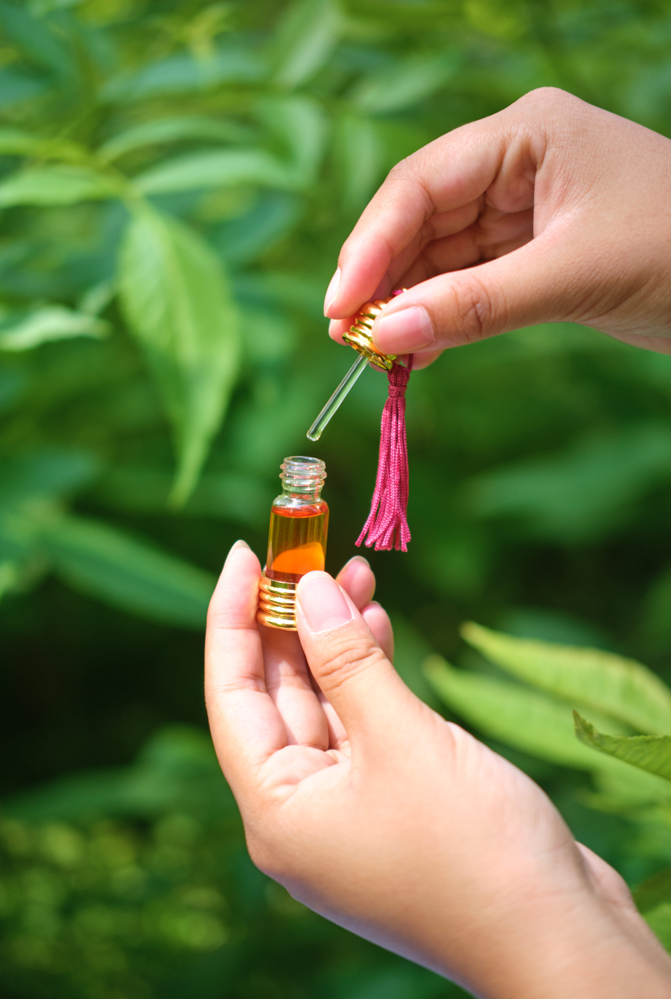 LAVYA FRAGRANCE