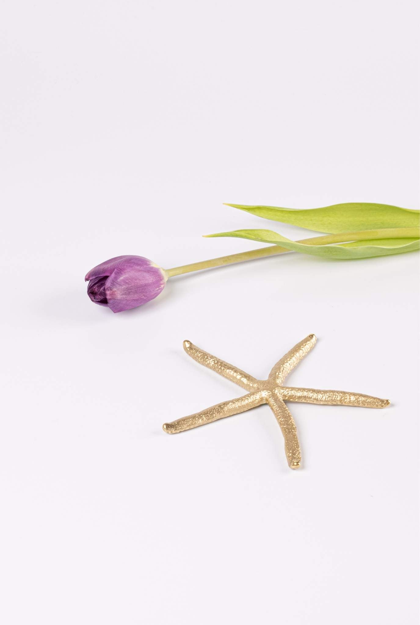 Decorative Brass Star Fish