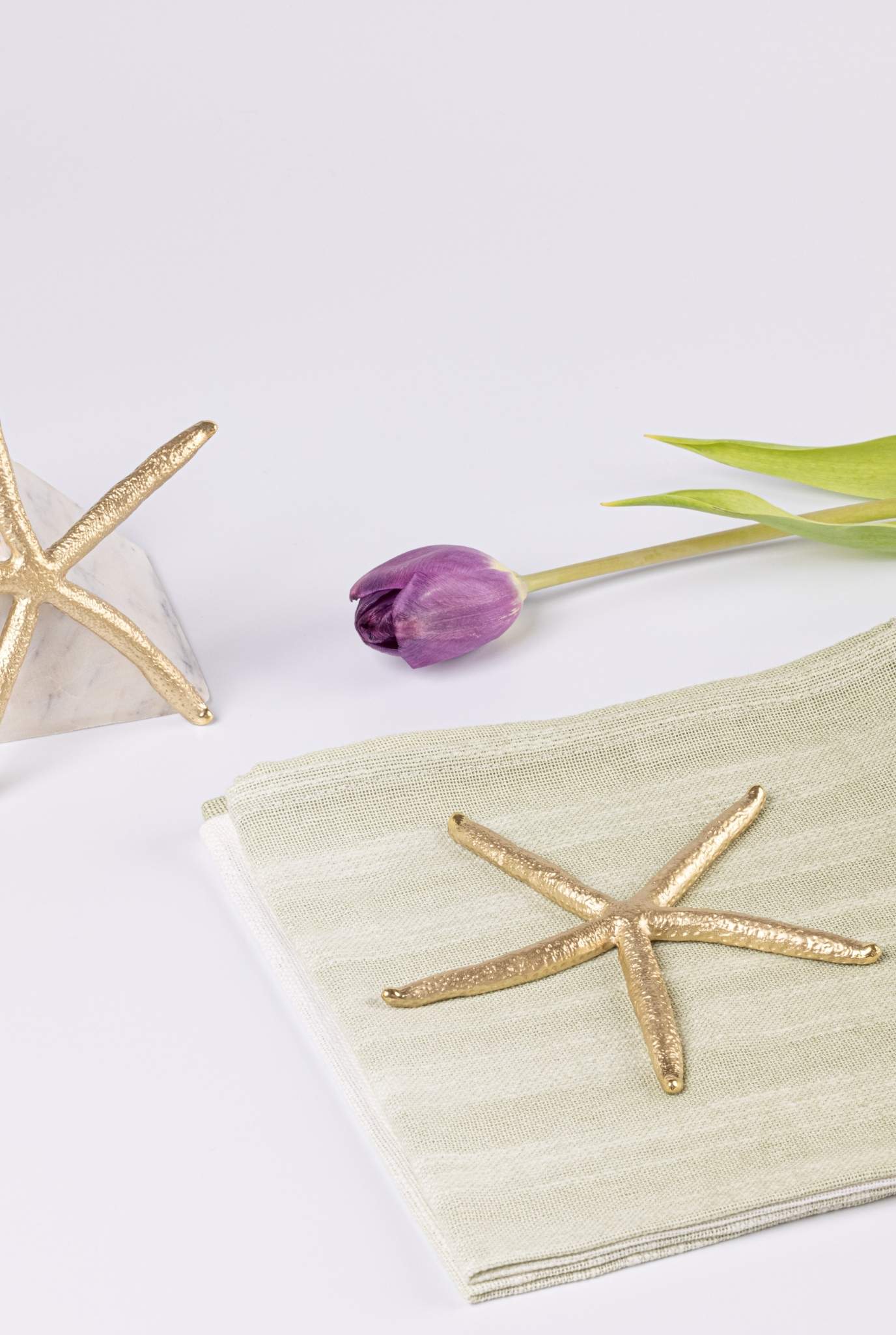 Decorative Brass Star Fish