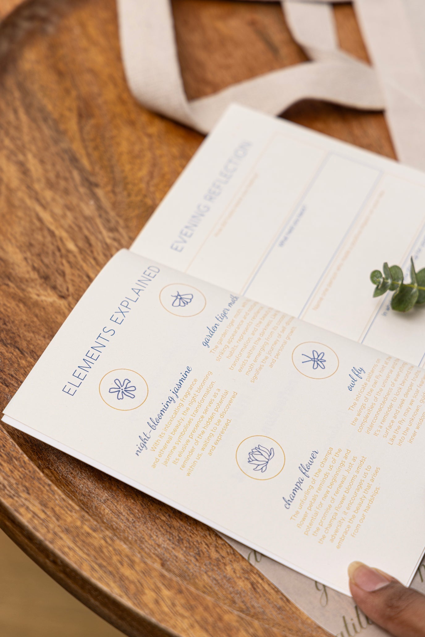 The Wellness Tool Series Mindful Minute Evening