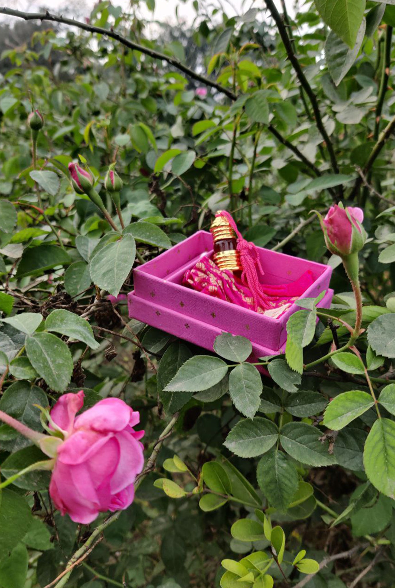 organic-fragrance-jasmine-handcrafted-unisex-rose