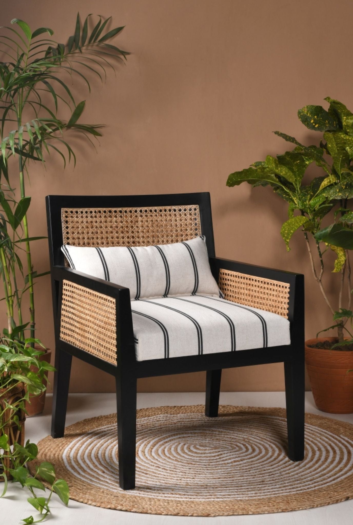 Titzit Cane Armchair (SHIPPING ONLY IN INDIA)