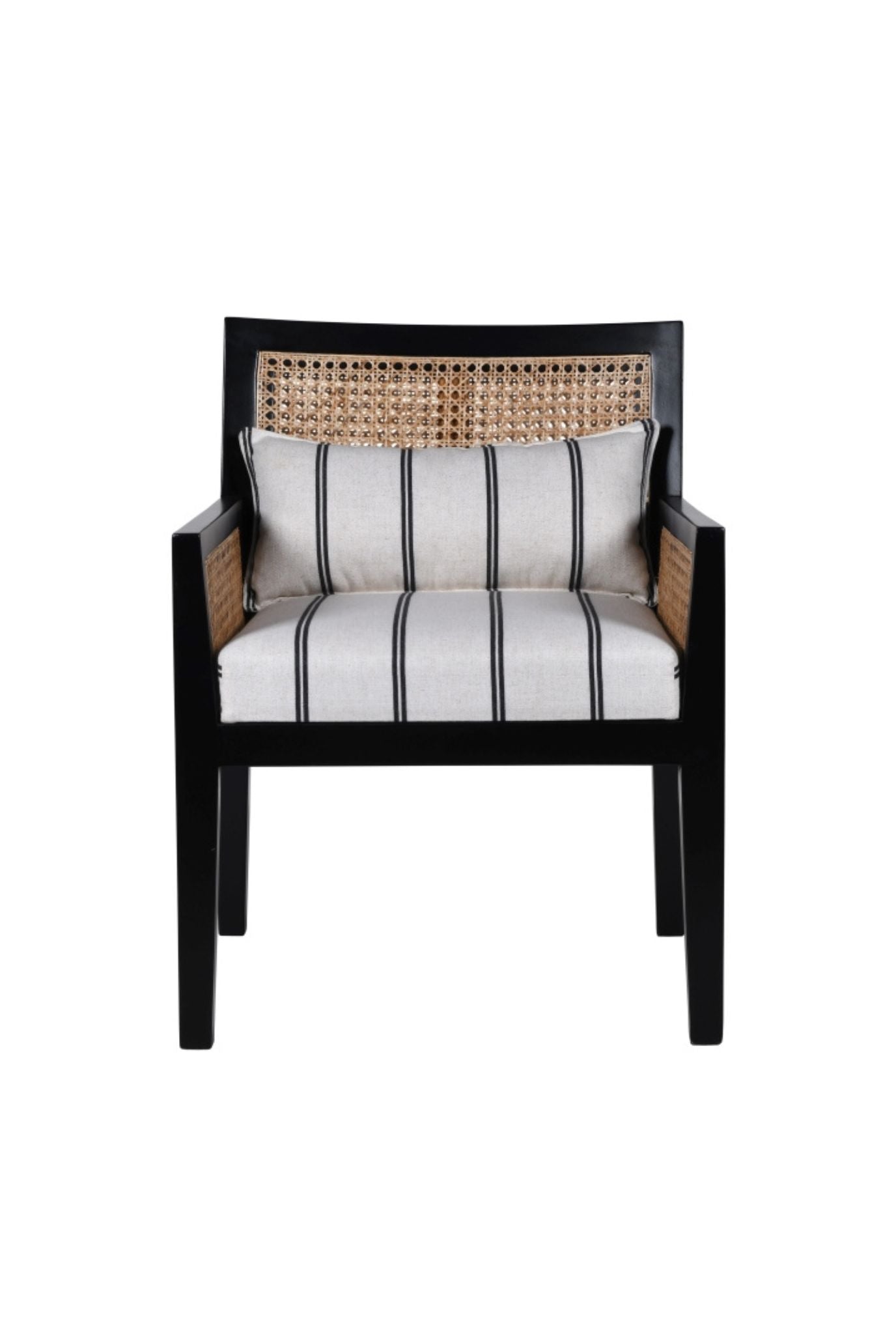 Titzit Cane Armchair (SHIPPING ONLY IN INDIA)