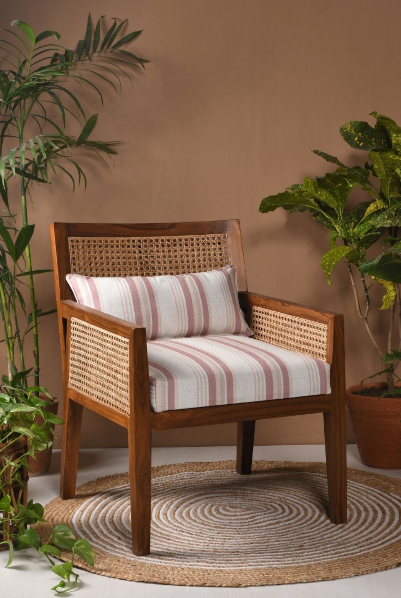 Titzit Cane Armchair (SHIPPING ONLY IN INDIA)