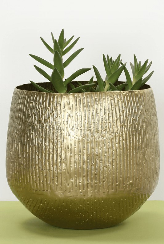 Vaya Planter