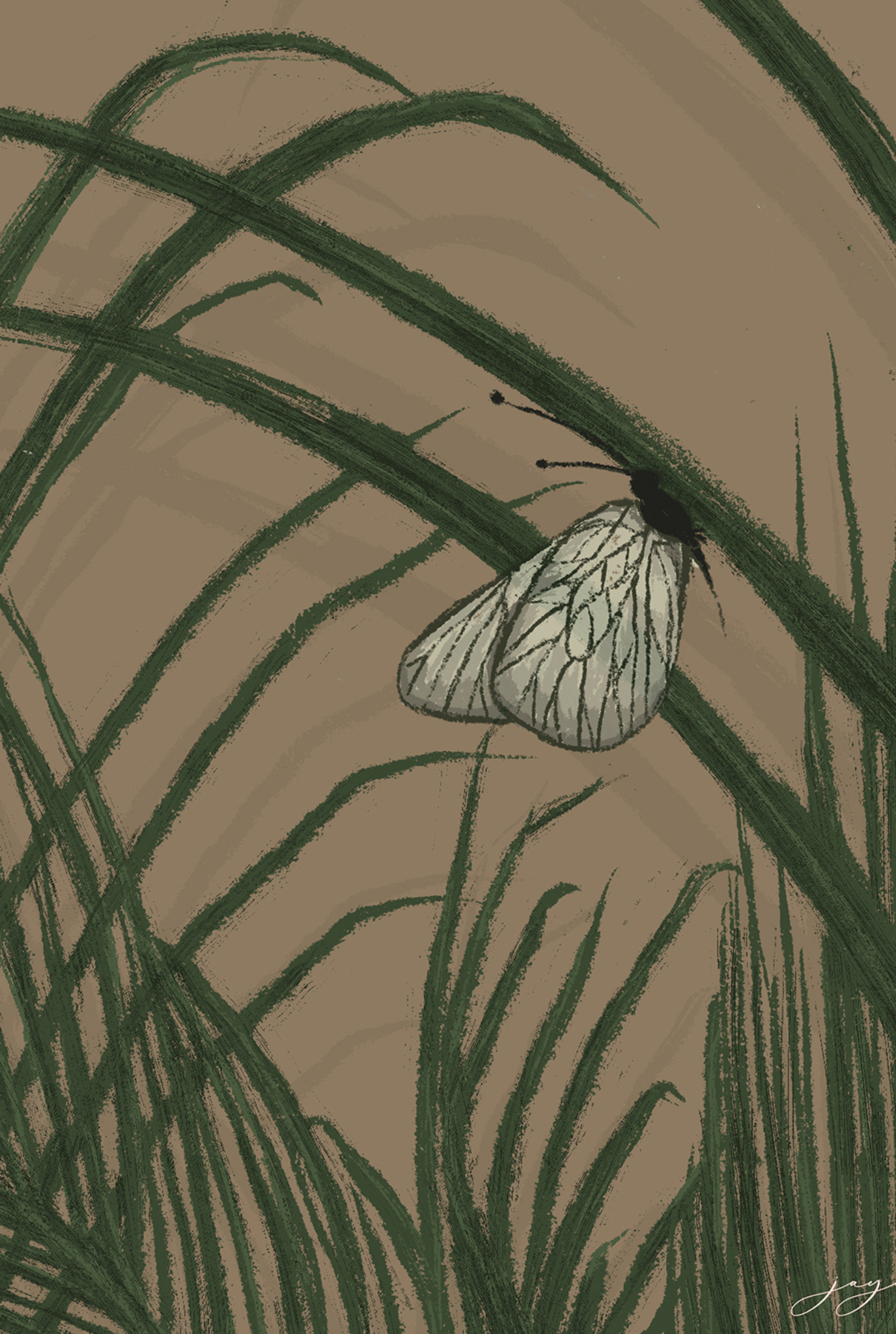 Palm Leaves and the Butterfly