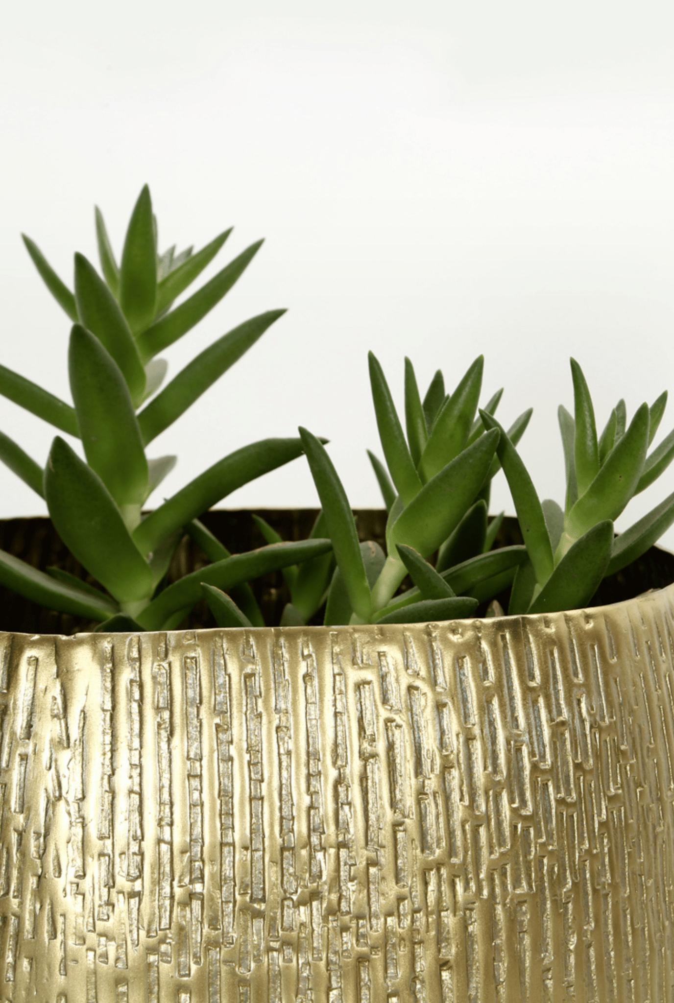 Vaya Planter