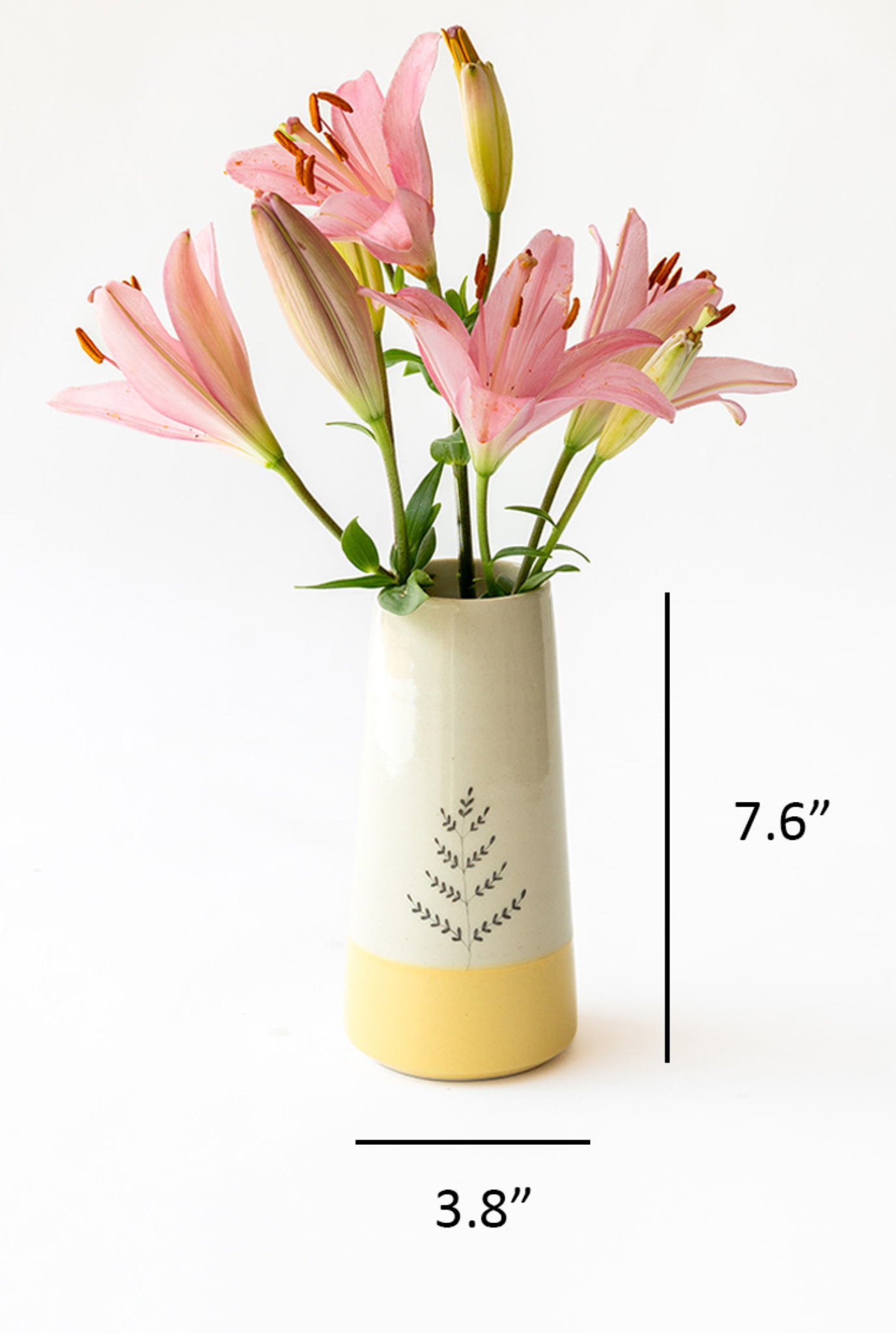 Ferns vase ( 1 pc)