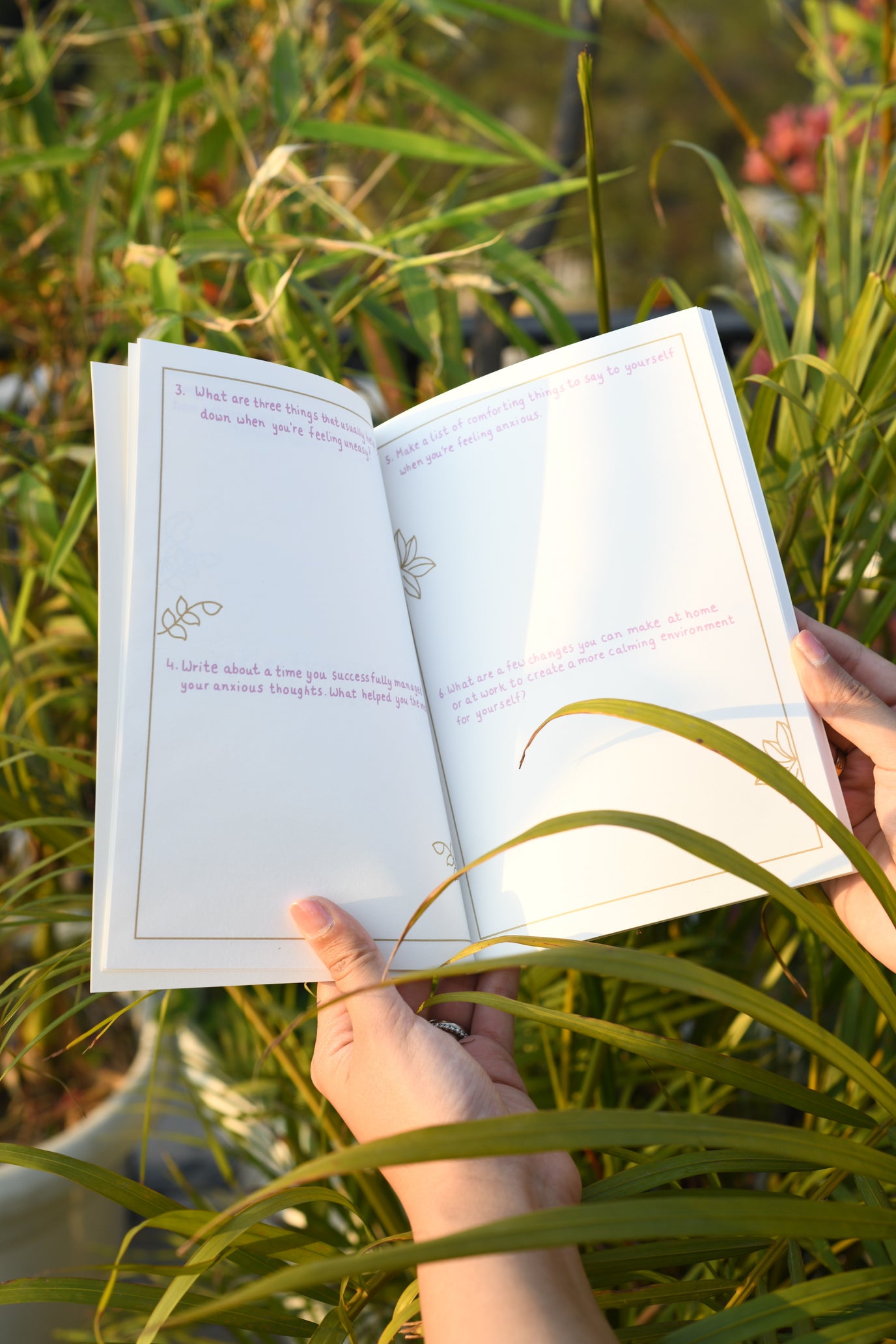 The Wellness Tool Series pause For Peace