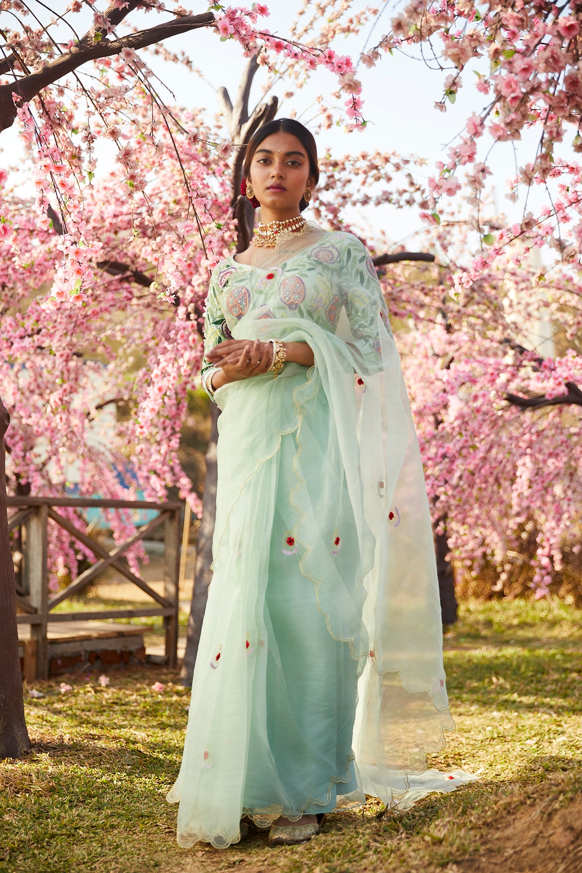 Chaandani Organza Silk Sari