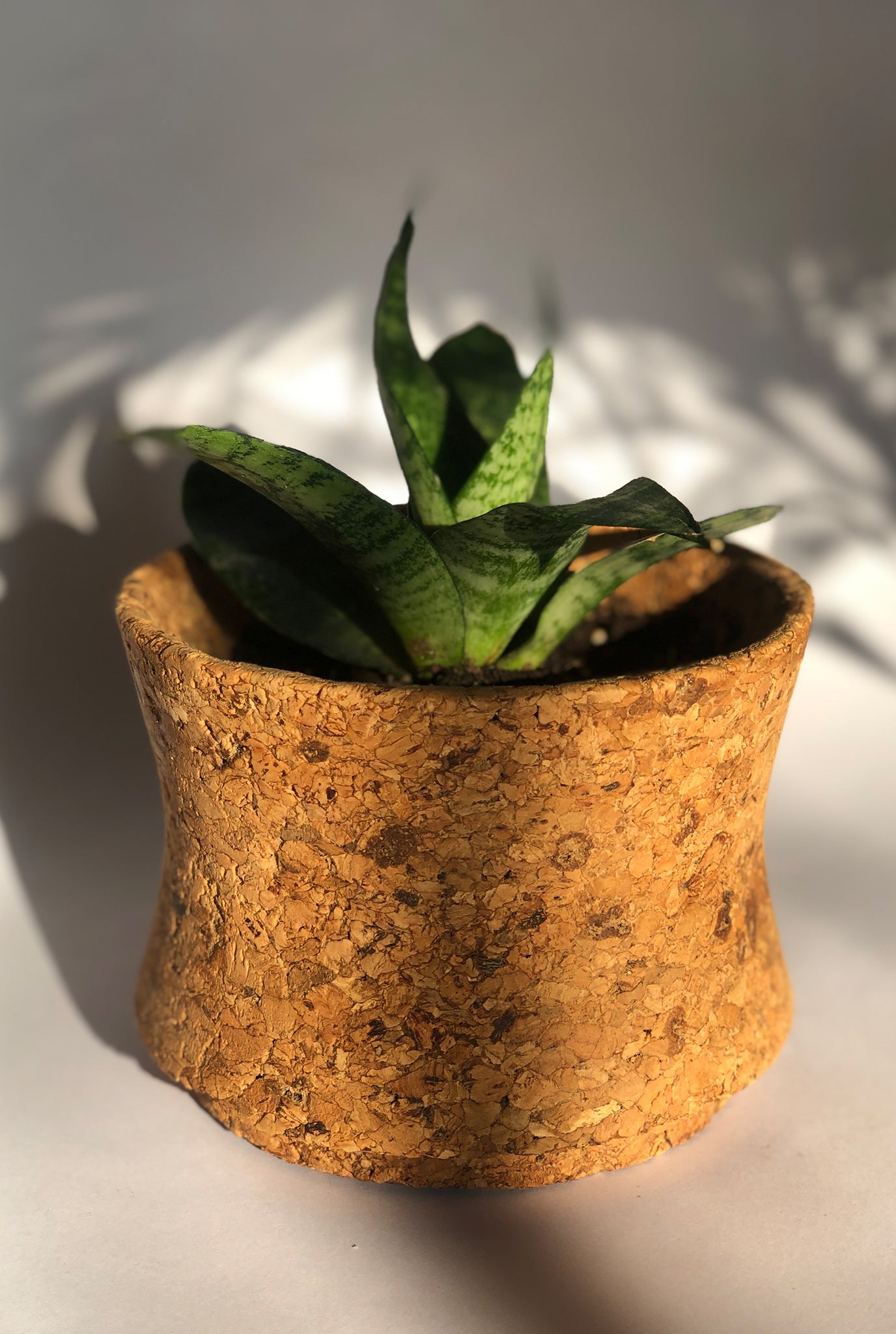 planter-cork-biodegradable-durable-sustainable