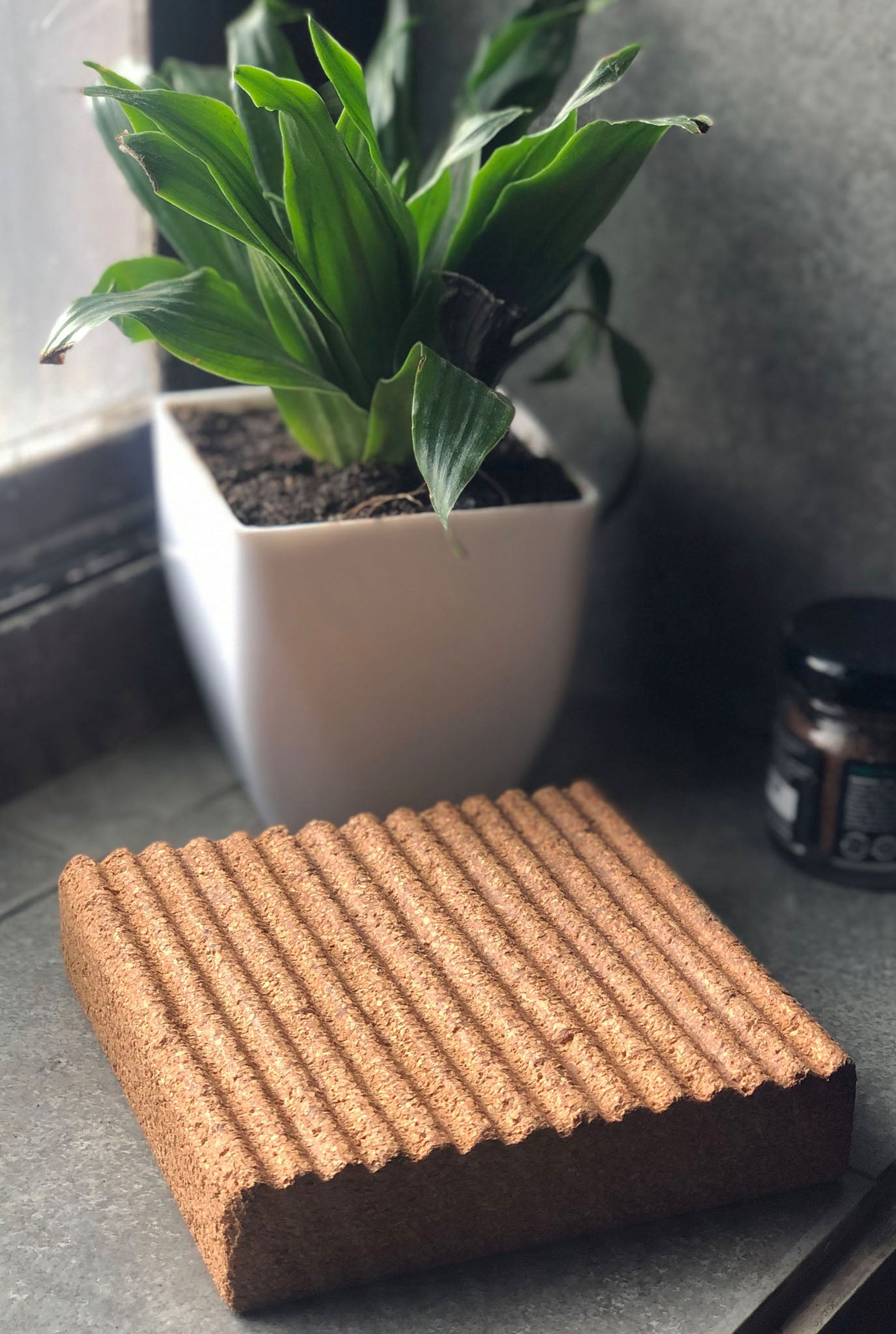 cork-soap dish-jodi-biodegradable-durable