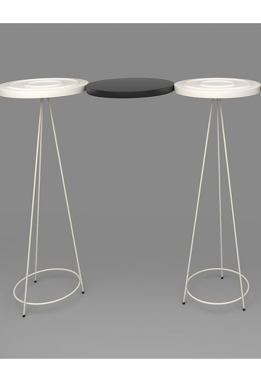 FLOATING PLATE CONSOLE TABLE (SMALL)