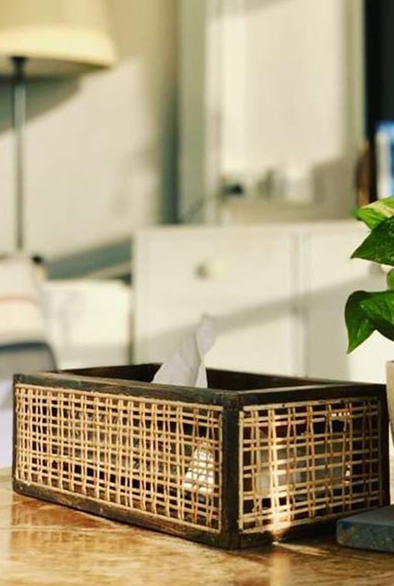 wood-cane-planter-minimal-decor-jodi-handcrafted
