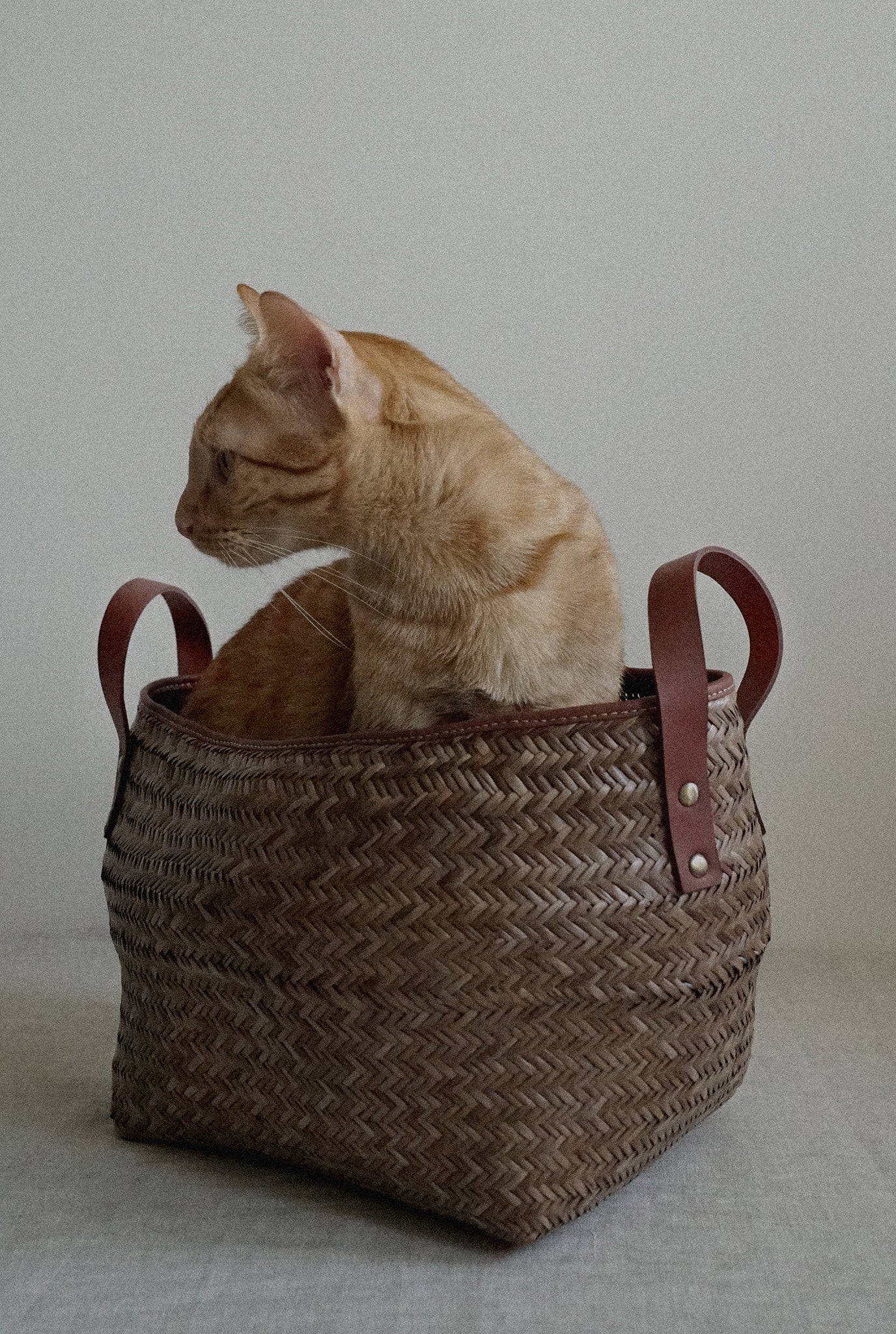 handwoven--storage-jodi-basket-vegetable tanned-ahimha leather-naturally stained